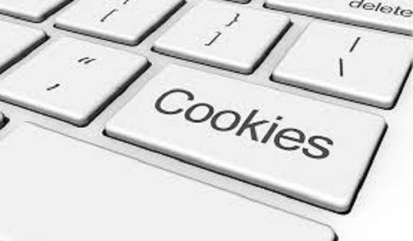 Web cookies