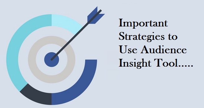 Audience Insight Tool