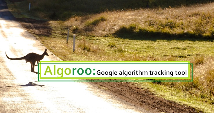 Google algorithm tracking tool Algoroo