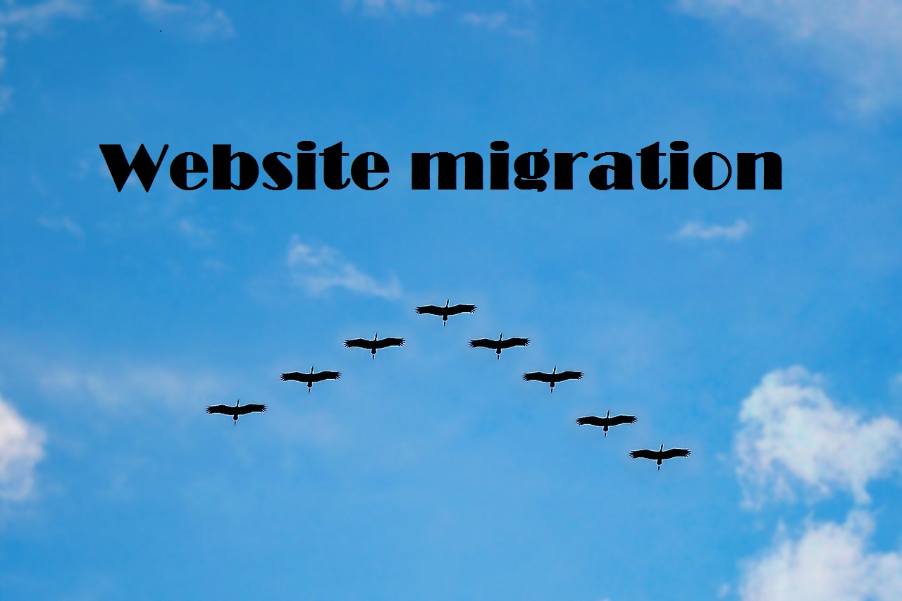 website migration