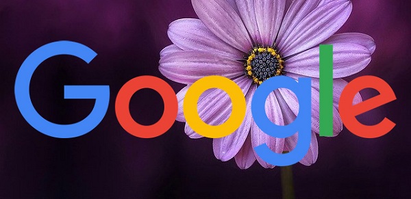 Google is testing the purple ad label