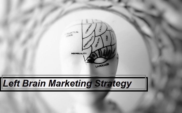 Left brain marketing strategy